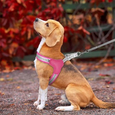 harnais chien reflexfit rose petit chien