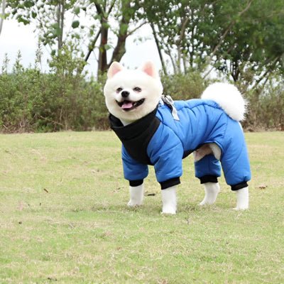 Tout Savoir sur les Manteaux pour Chiens