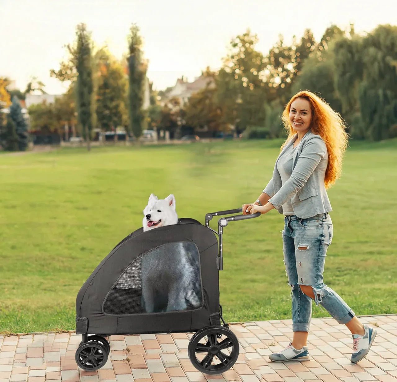 Poussette pour Chien - StrollyPetâą - Noir