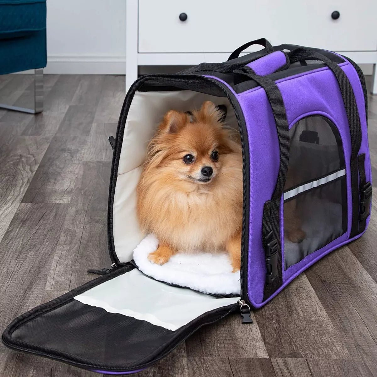 Sac de Transport pour Chien - DogCarrierBagâą - Violet