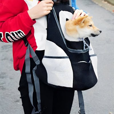 chien sac de transport hikebuddy marche