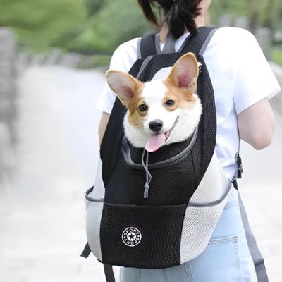 chien sac de transport hikebuddy noir confortable