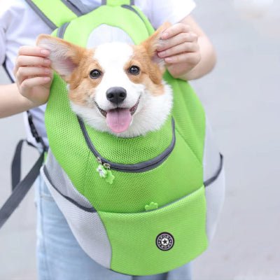 chien sac de transport hikebuddy vert