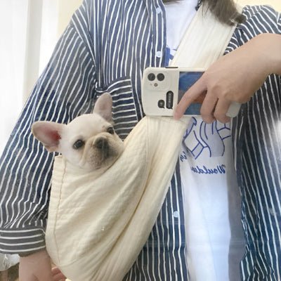 chien sac de transport luxbag pug cote