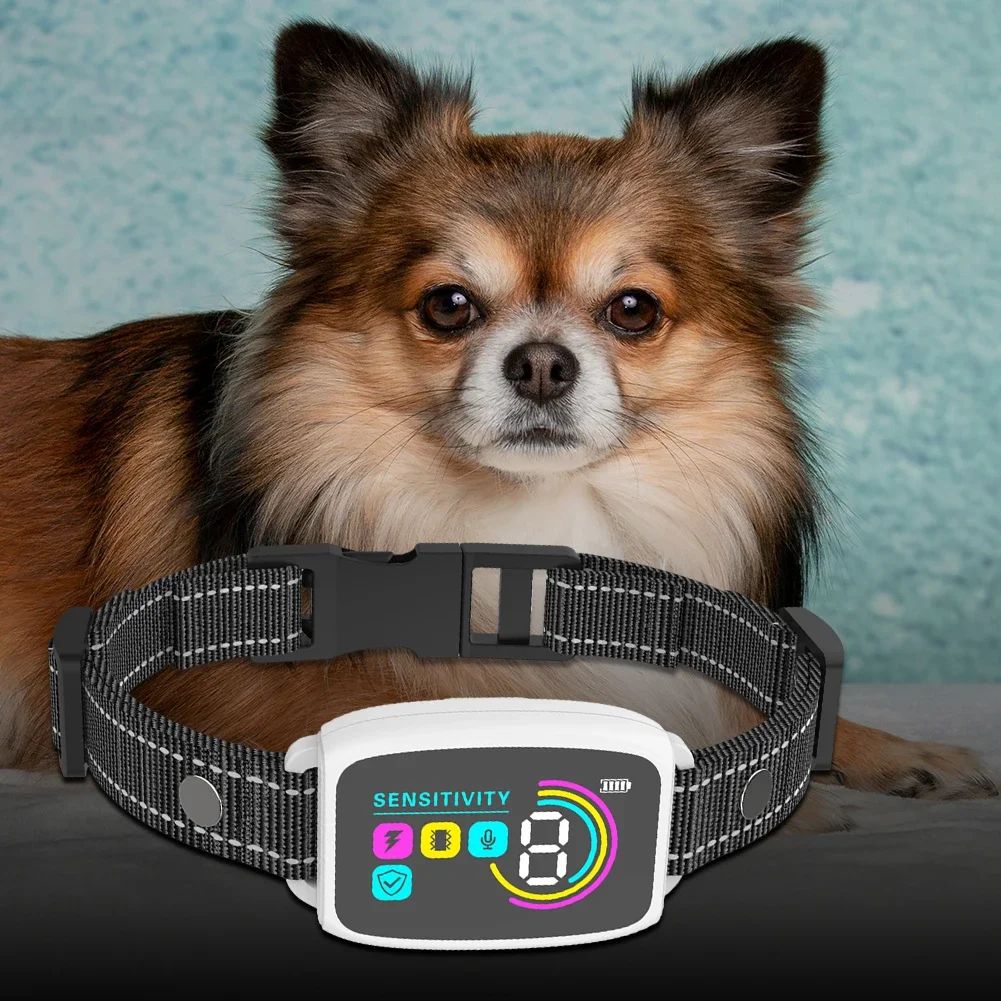 collier anti aboiement pour chien silencio carroussel 2