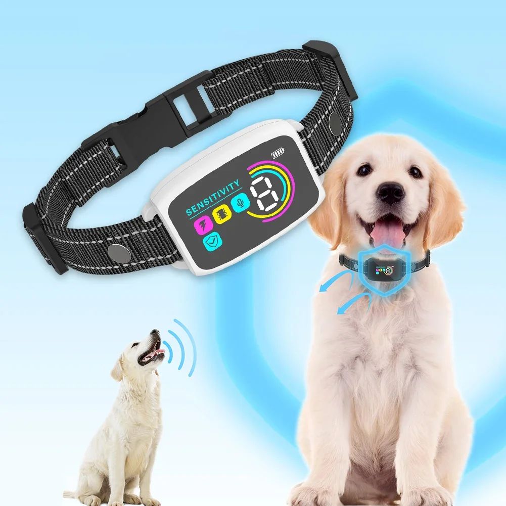 collier anti aboiement pour chien silencio