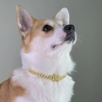 collier chien deluxdog chic