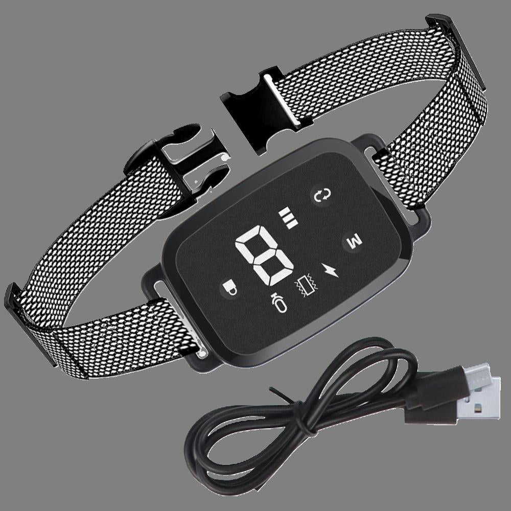 collier de dressage pour chien discipleo usb