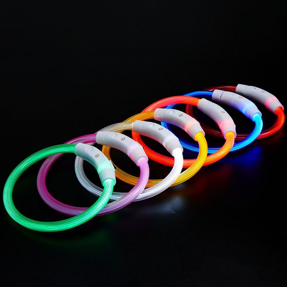 collier lumineux chien lumeo carroussel detail