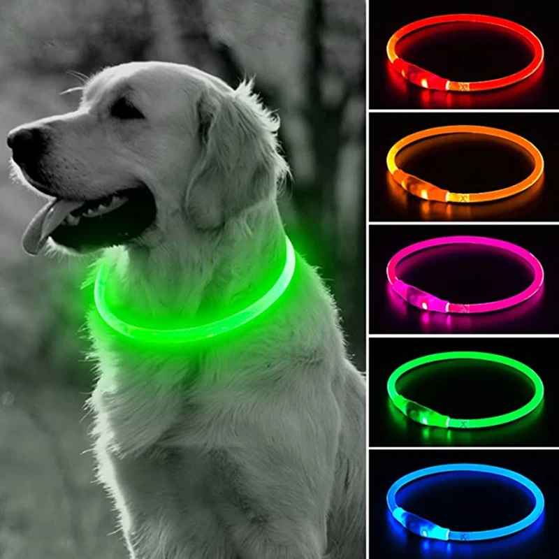 collier lumineux chien lumeo carroussel variante