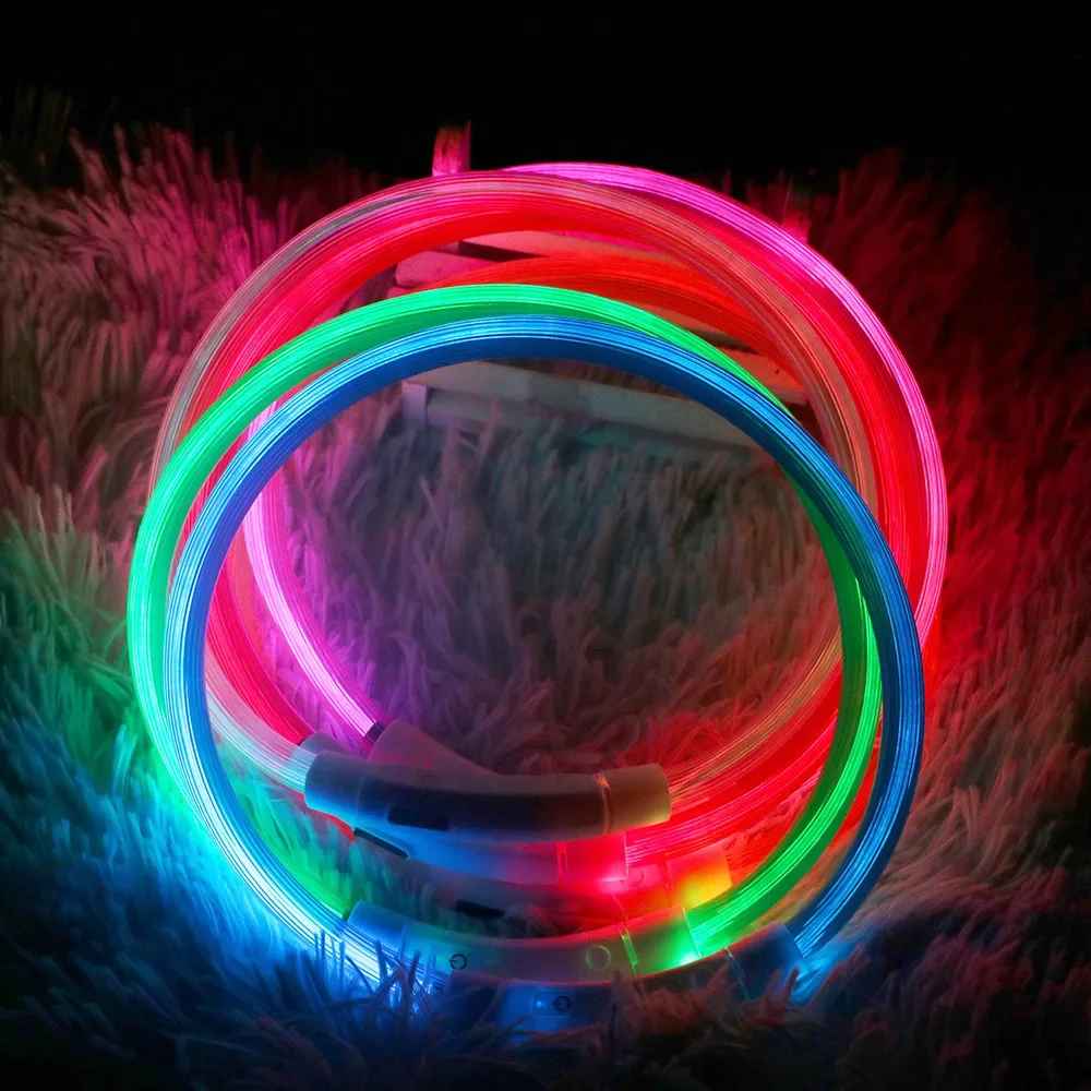 collier lumineux chien lumeo variante couleur