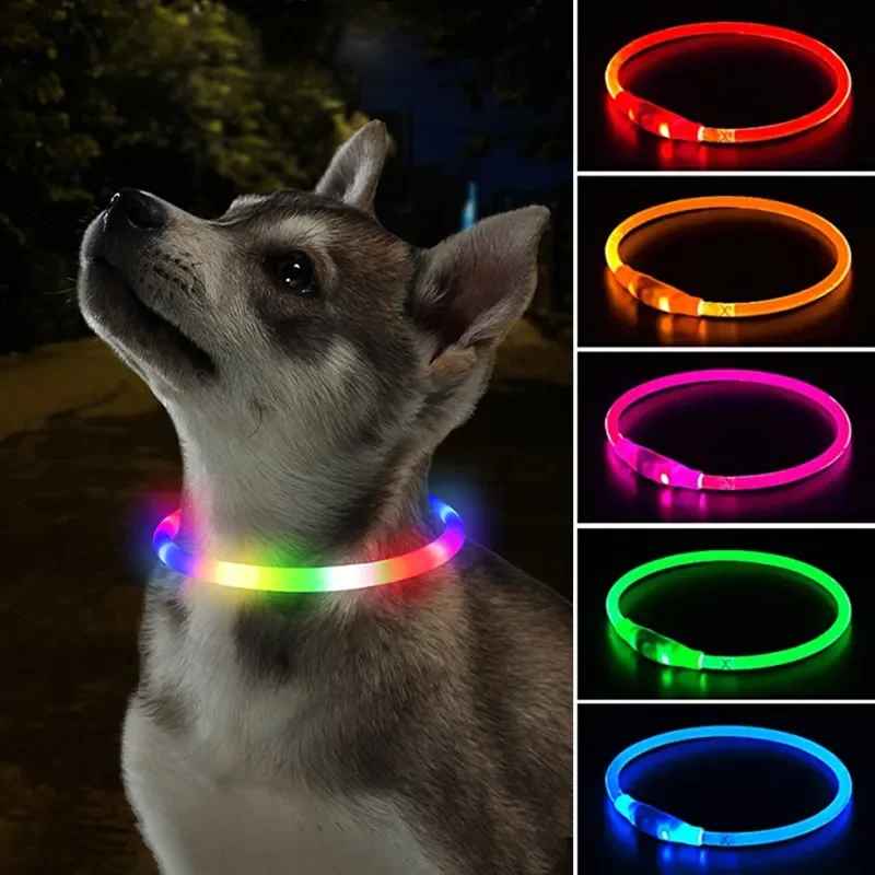 collier lumineux chien lumeo variante