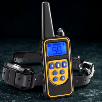 collier pour chien de dressage discipro noir
