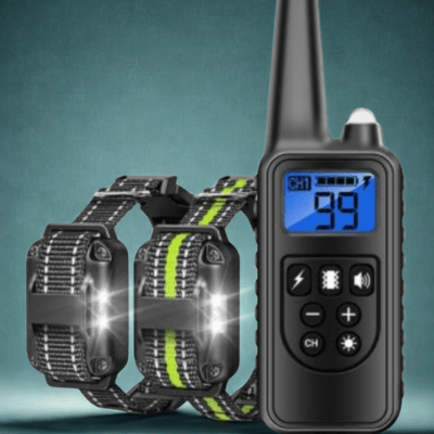 collier pour chien de dressage discipro vert noir