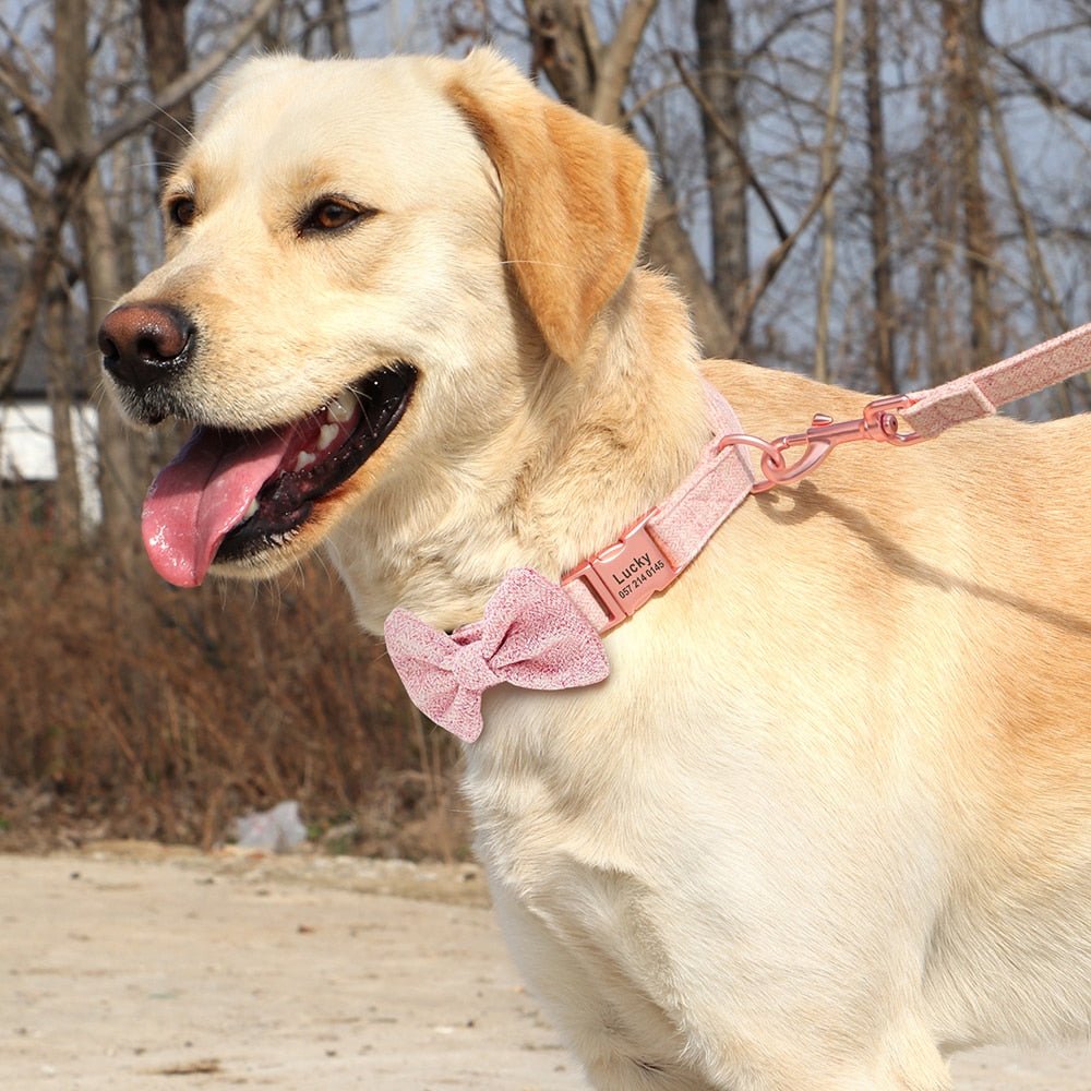 colliers personnalises chiens mignons boucle description