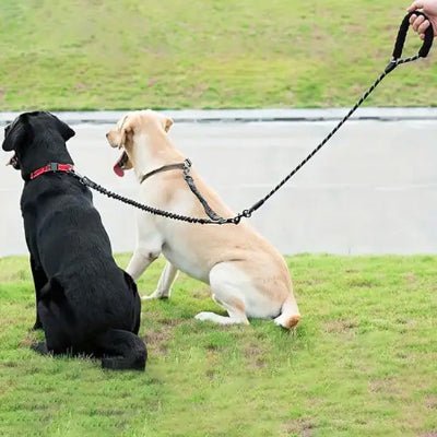 double laisse pour chien duoflex noir labrador