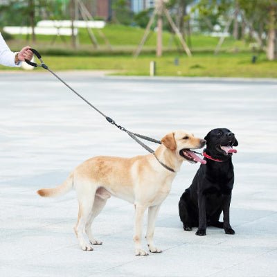 double laisse pour chien duoflex promenade