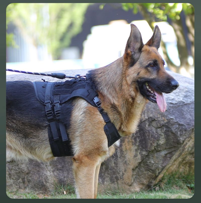 harnais anti traction chien tactikpaw caroussel noir