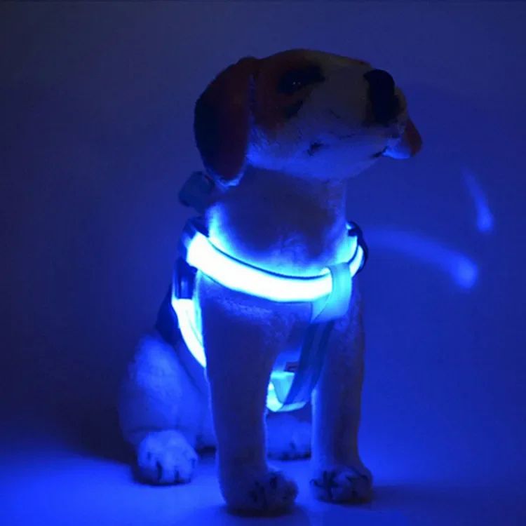 harnais chien anti traction luminessence bleu