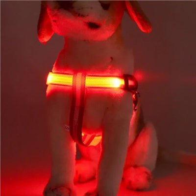 harnais chien anti traction luminessence rouge