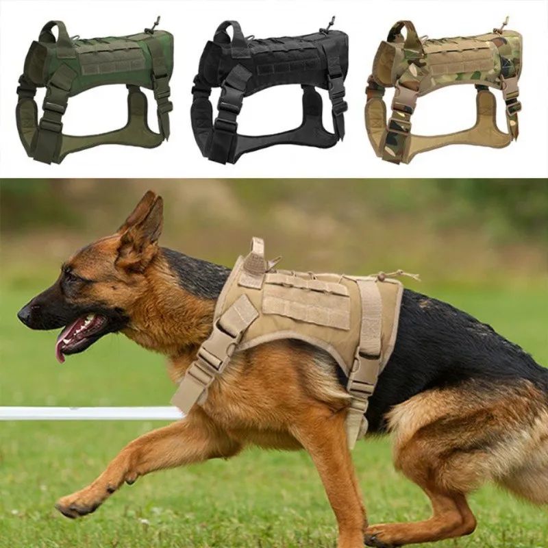 harnais chien anti traction tactika variantes