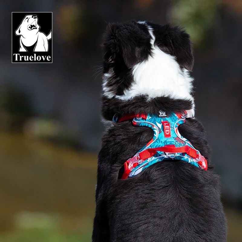 harnais chien anti traction truelove border collie