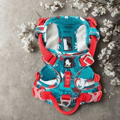 harnais chien anti traction truelove camouflage bleu caroussel