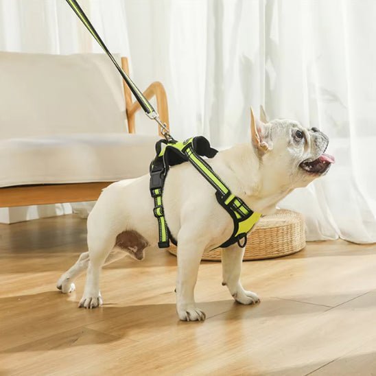 harnais chien harniFly jaune promenade laisse