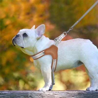 harnais chien reflexfit brun pug