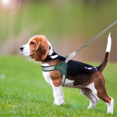 harnais chien reflexfit vert petit chien