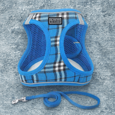 harnais petit chien pawchou bleu fiche