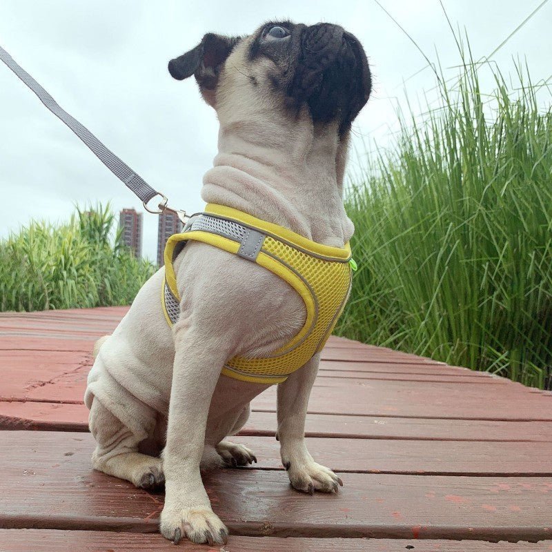 harnais petit chien snugglefit caroussel jaune