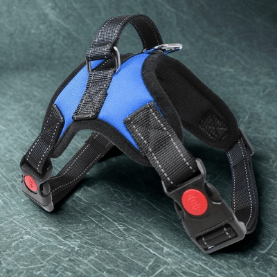 harnais pour chien flamefit bleu