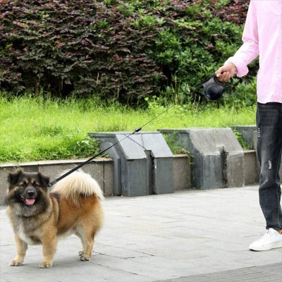 laisse a enrouleur pour chien nightglow noir