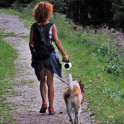 laisse a enrouleur pour chien nightglow promenade