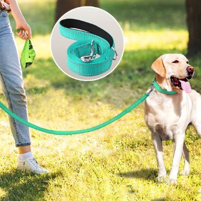 laisse chien glowrun bleu description