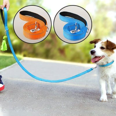 laisse chien glowrun bleu orange