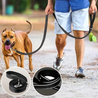 laisse chien glowrun noir reflechissante