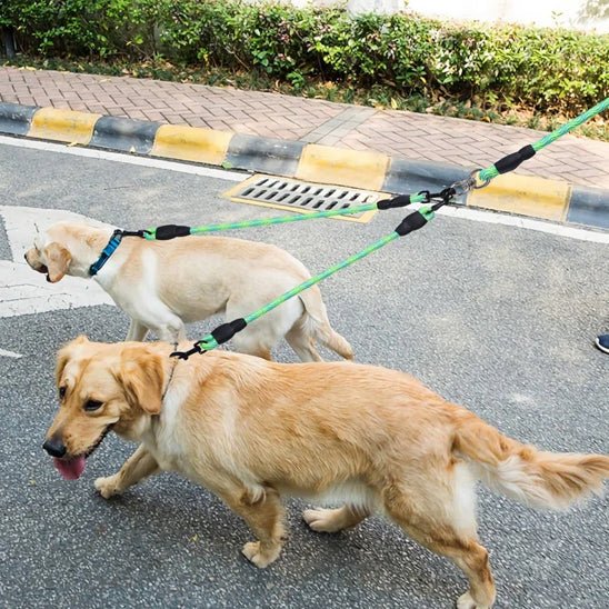 laisse chien tamdemflex