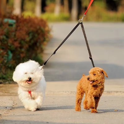 laisse double pour chiens duodog noir duo