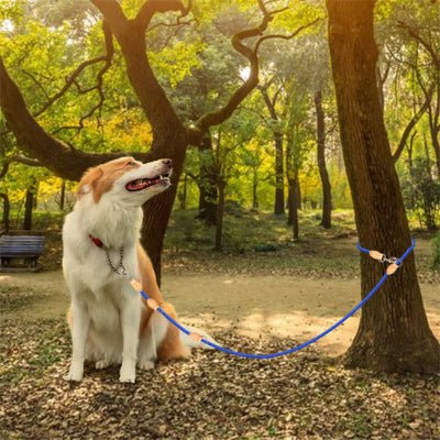 laisse mains libres pour chiens multitrack attache arbre