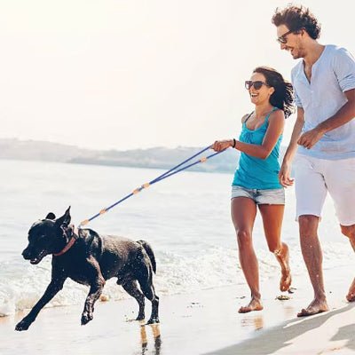 laisse mains libres pour chiens multitrack course