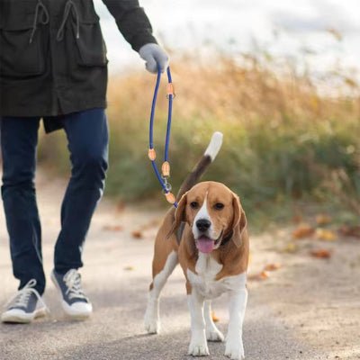 laisse mains libres pour chiens multitrack promenade