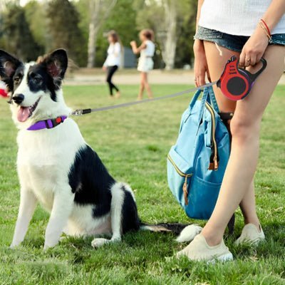 laisse pour chien enrouleur flexolaisse rouge