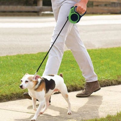 laisse pour chien enrouleur flexolaisse vert