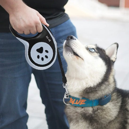 laisse pour chien enrouleur loopiflex noir husky