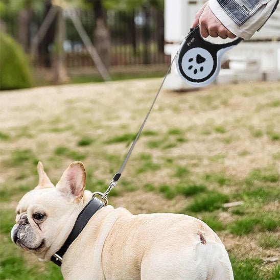 laisse pour chien enrouleur loopiflex noir