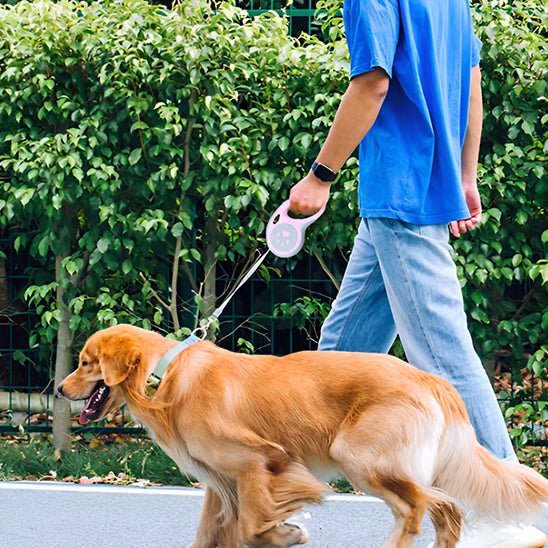 laisse pour chien enrouleur loopiflex rose golden