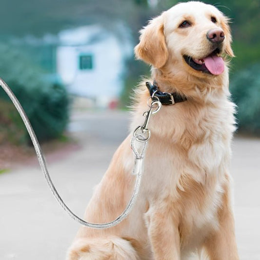 laisse pour chien metallique caroussel golden blond
