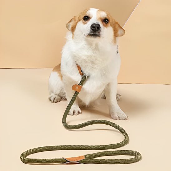 laisse pour chien pawgrip caroussel